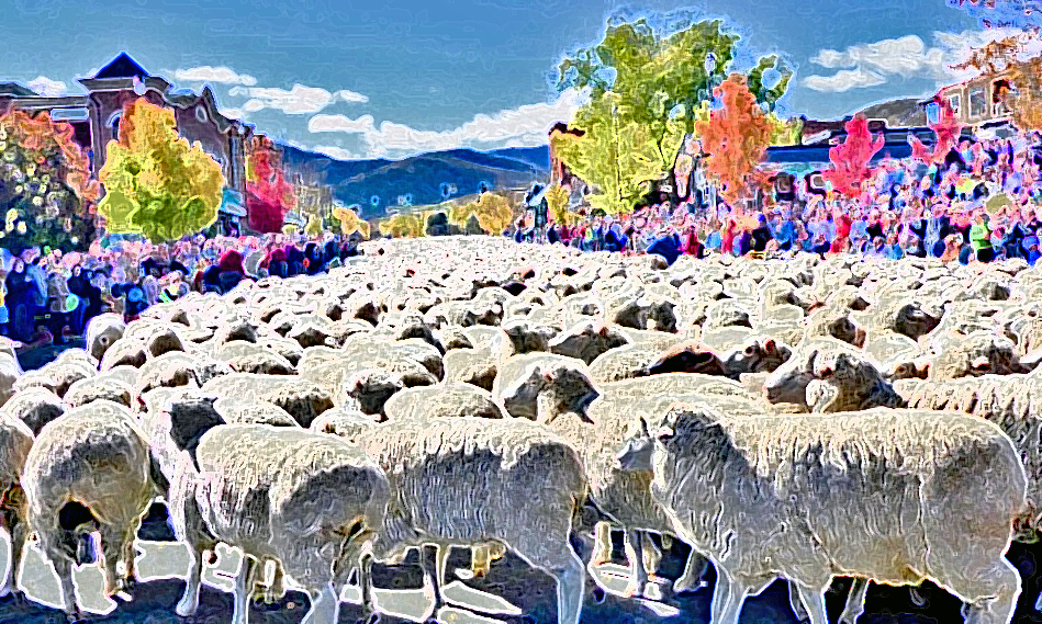 Windermere Annual sheep Party