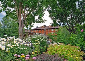 Historic Sun Valley Lodge Flowers