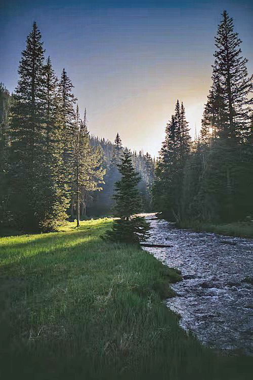 Prepper luxury real estate in Pacific Northwest