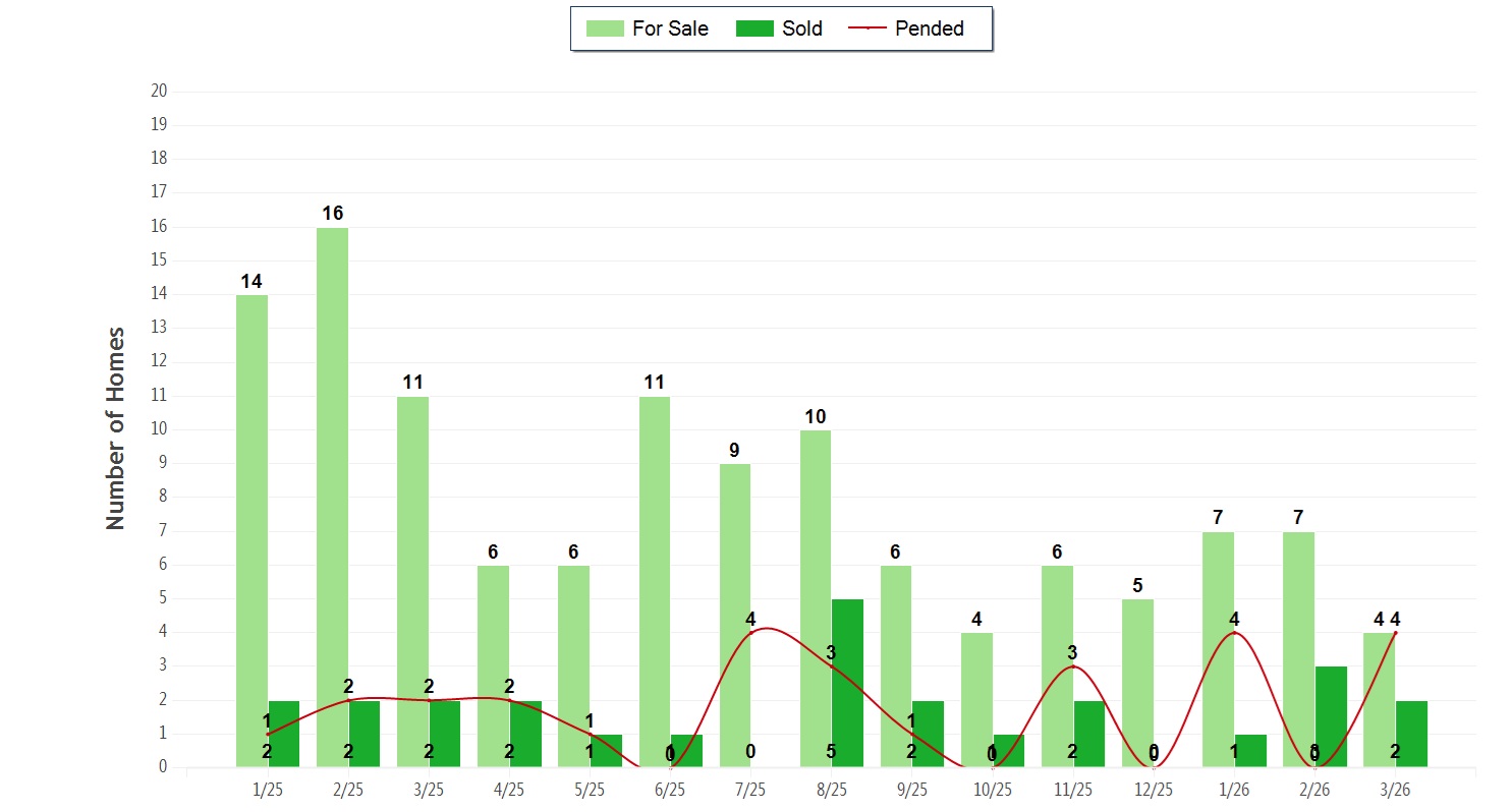 Warm Springs Condo & Townhome Activity